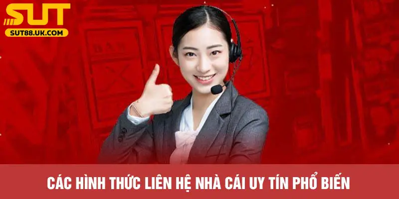 Liên hệ SUT88 luôn được nhà cái chú trọng đầu tư vận hành bài bản